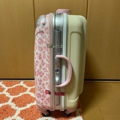 <受け渡し予定者決定しました>タダで譲ります/スーツケース 2-3泊用の画像