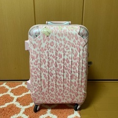 <受け渡し予定者決定しました>タダで譲ります/スーツケース 2-3泊用
