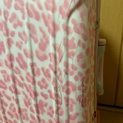 <受け渡し予定者決定しました>タダで譲ります/スーツケース 2-3泊用の画像