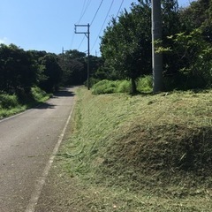 【無料】草刈りやります！