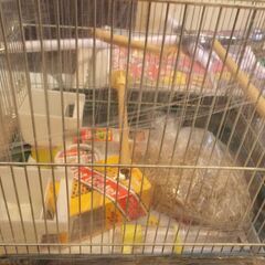 小動物用の飼育セット（かご）の画像