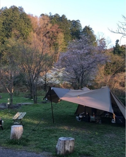 ニーモ　ヘキサライト6p キャニオン