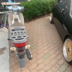 スーパーカブ50ccの画像