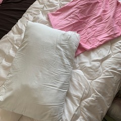 【お譲り先決定】【無料】【美品】NITORIニトリ  掛布団＆枕...