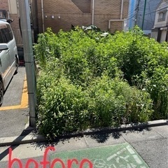 🉐【便利屋】プロのお掃除隊！特割1/20まで − 埼玉県