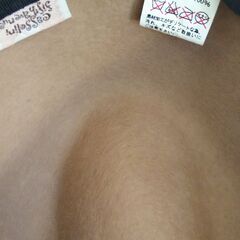 帽子 差し上げますの画像