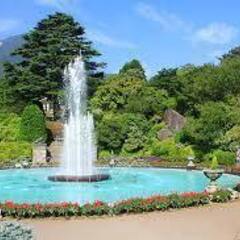 【急募】７月３日（日）あじさいの箱根登山電車と阿弥陀寺　小田原駅箱根登山電車改札前　９時３０分 - 足柄下郡