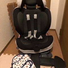 ★わんわんの車用おもちゃ、ひざ掛けお付けます！ホームクリーニング...