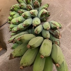 交換こしたいです