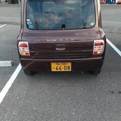 アルトラパンの画像