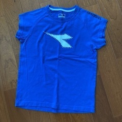レディース　Tシャツ　M