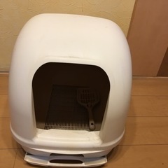 ねこのトイレ　