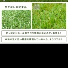 人工芝　1m✖️2.5m