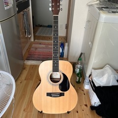 初心者向け　美品　アコースティックギター　HONEYBEE