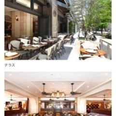 明日（水）有楽町でバスクチーズケーキ食べませんか?