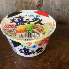 ミニ塩ラーメン
