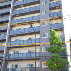 🔥入居総額11万円🔥1K🔥東武伊勢崎線/東向島駅 歩6分✨東京都...
