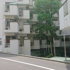 ※急募　届出自動車学校オープニングスタッフ！都内最安値１０万円で...