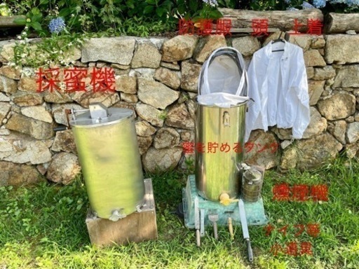 西洋蜜蜂　養蜂セット