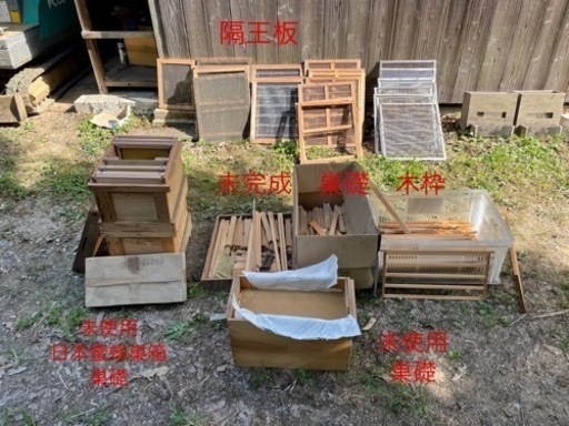 西洋蜜蜂　養蜂セット