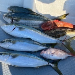 釣り仲間募集 - 伊勢市