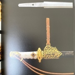 メテオグラディオ　隕鉄　刀　写真集　一般では手に入らない