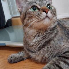 お陰様で幸せ見つけました❣️ - 延岡市