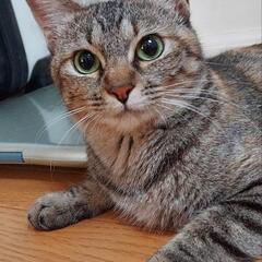お陰様で幸せ見つけました❣️ − 宮崎県
