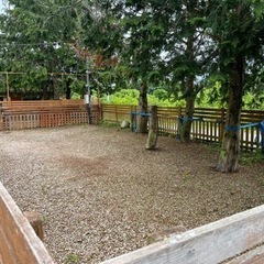 使っていない　土地　山　山林　活用しませんか　安心管理 - 土地販売/土地売買