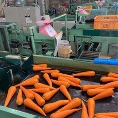 選別作業　その他