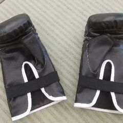 ボクシンググローブの画像