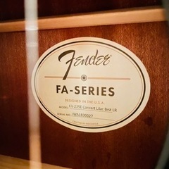 エレアコ　フェンダー　FA235-Eの画像
