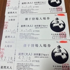 潮干狩り　※三連休最後の潮干狩り最終値下げ