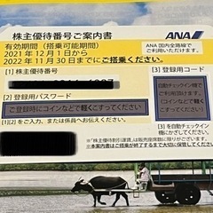 ANA 株主優待1枚