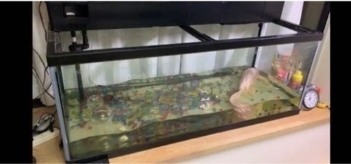 ◆中古 大型水槽セット◆1200 上部フィルター◆専用ポンプ◆120㎝ ライト◆