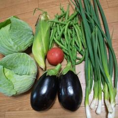 お野菜６点。
