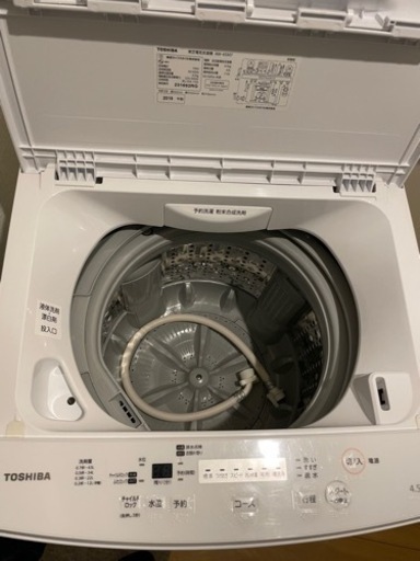 2019年製東芝　デザイナーズ洗濯機　単身用　4.5キロ