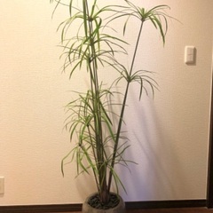 【再値下！】エミリオロバ フェイクグリーン 観葉植物