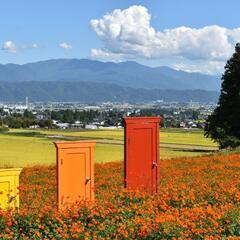 567情報の共有仲間募集！
