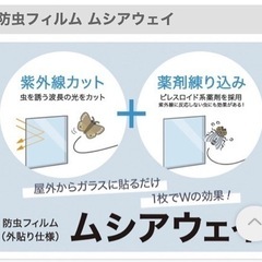 防虫フィルム