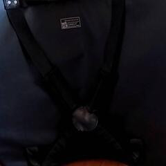 (受け渡し先決定)ビッグミットの画像