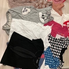 90-95(100) 女の子服の画像