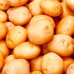 北海道夕張郡長沼町 短期◎野菜物流◎野菜・果物の選別および包装業務  日勤≪残業少なめ≫男女活躍　単純、モクモク作業 JR北広島駅より無料送迎あり(#^^#)の画像