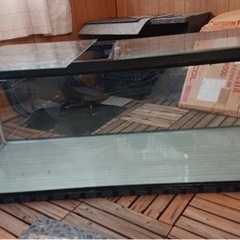 1200水槽　熱帯魚　大型魚　