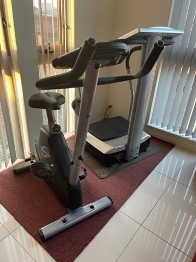 フジ医療器の本格エクササイズサイズマシーン　 ダイエットトレーナーエフェクト DT-1