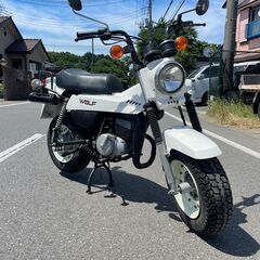 スズキ ウルフ50 WOLF 希少　空冷2サイクル（検索/ミニト...
