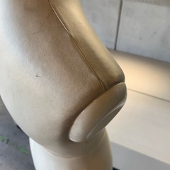 トルソー　一体　レディース　高さ調節可能　トルソーアート　芸術家　アーティストの画像