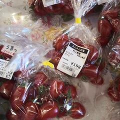 早い者勝ち　取れたて　新鮮野菜の画像