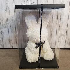 ラビットローズ　ROSE RABBIT 大きいサイズの画像