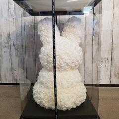 ラビットローズ　ROSE RABBIT 大きいサイズの画像